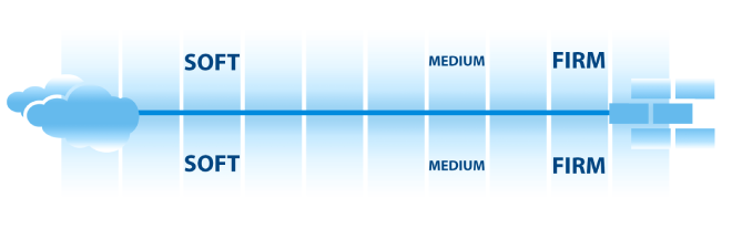 firmscale